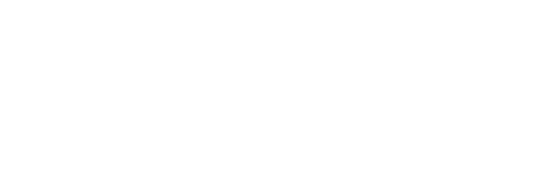 NexLine Tech Solution